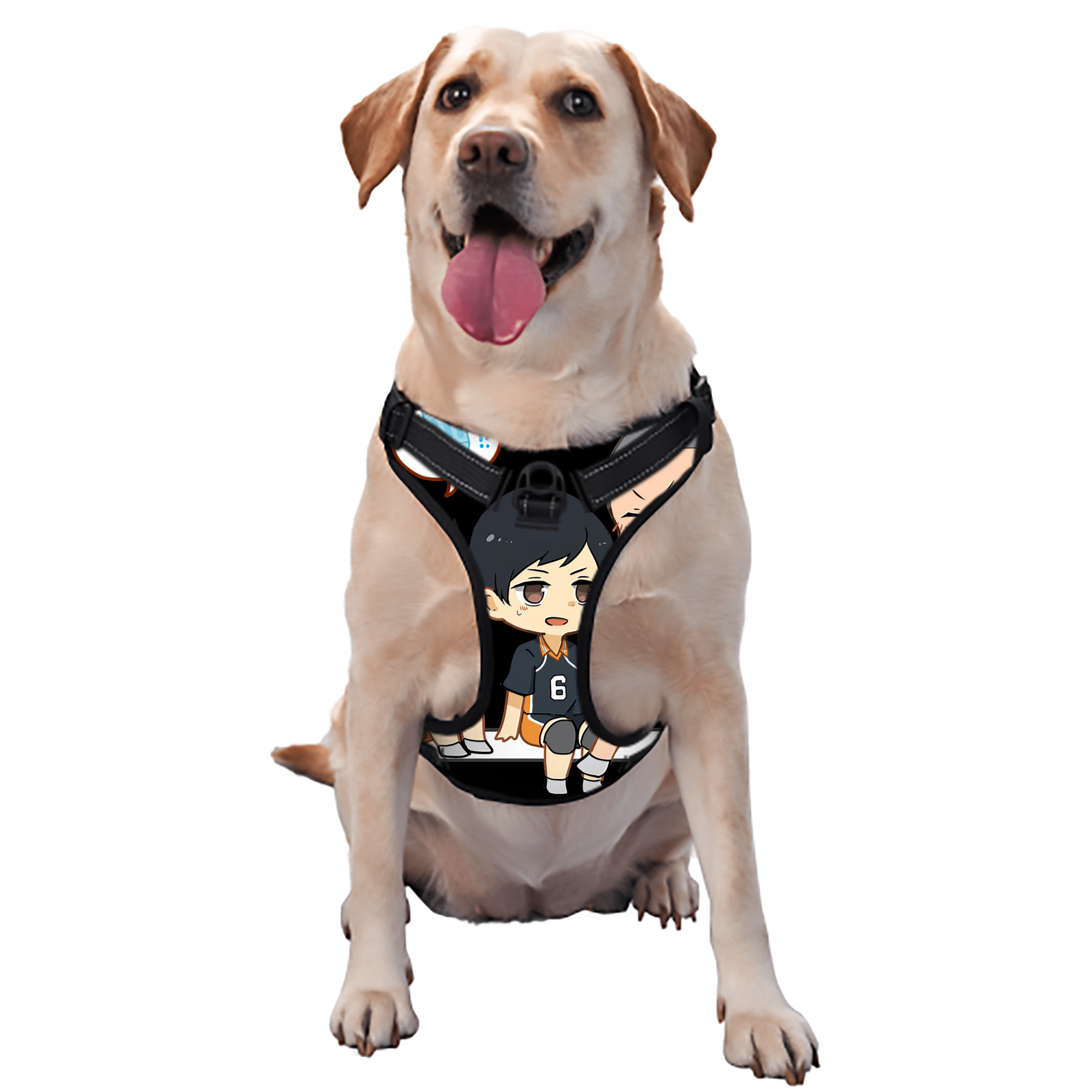 （画像用） ハイキュー!! Haikyu!! ペット用ハーネス